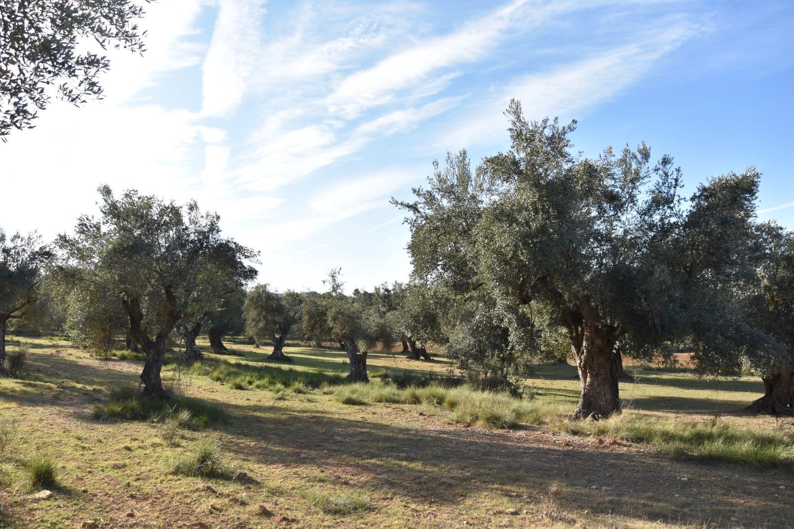 1 soverom Finca/Herregård til salgs i Arnes - € 35 000 (Ref: 9150345)