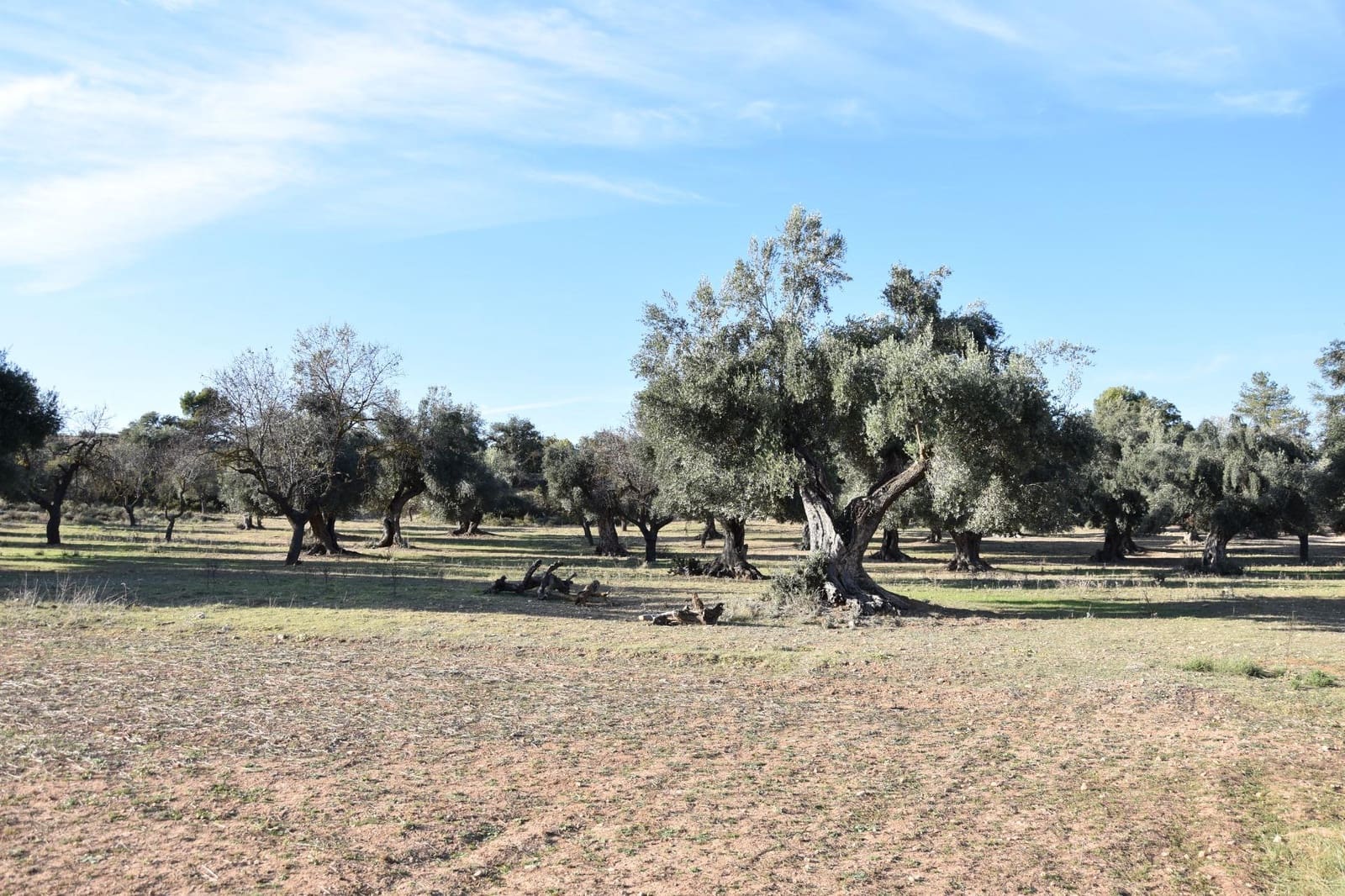 1 soverom Finca/Herregård til salgs i Arnes - € 35 000 (Ref: 9150345)