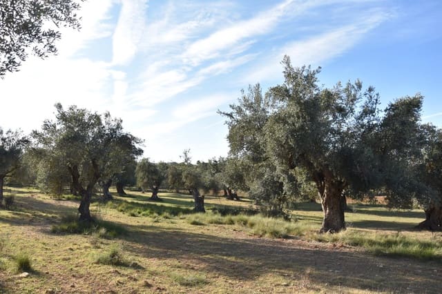 1 soveværelse Finca/Landehus til salg i Arnes - € 35.000 (Ref: 9150345)