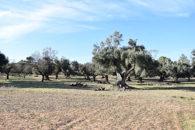 1 soveværelse Finca/Landehus til salg i Arnes - € 35.000 (Ref: 9150345)