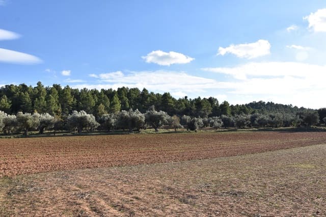 1 soveværelse Finca/Landehus til salg i Arnes - € 35.000 (Ref: 9150345)