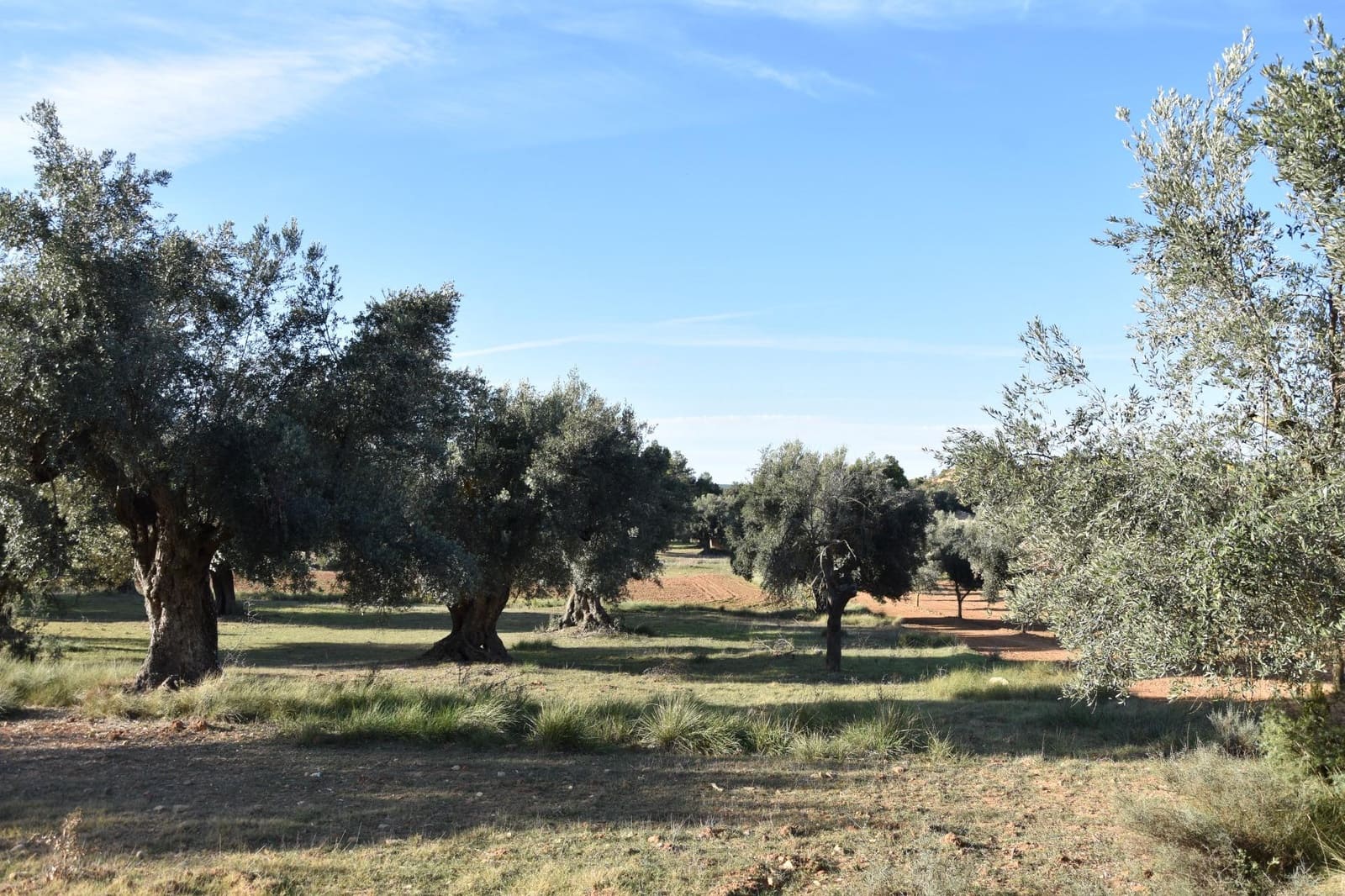 1 soverom Finca/Herregård til salgs i Arnes - € 35 000 (Ref: 9150345)