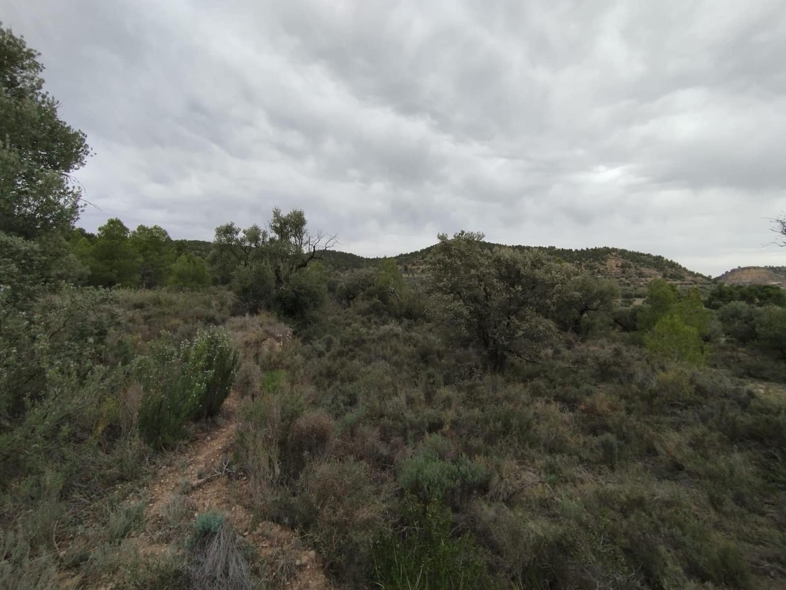 Finca/Herregård til salgs i La Fresneda - € 6 000 (Ref: 9150347)