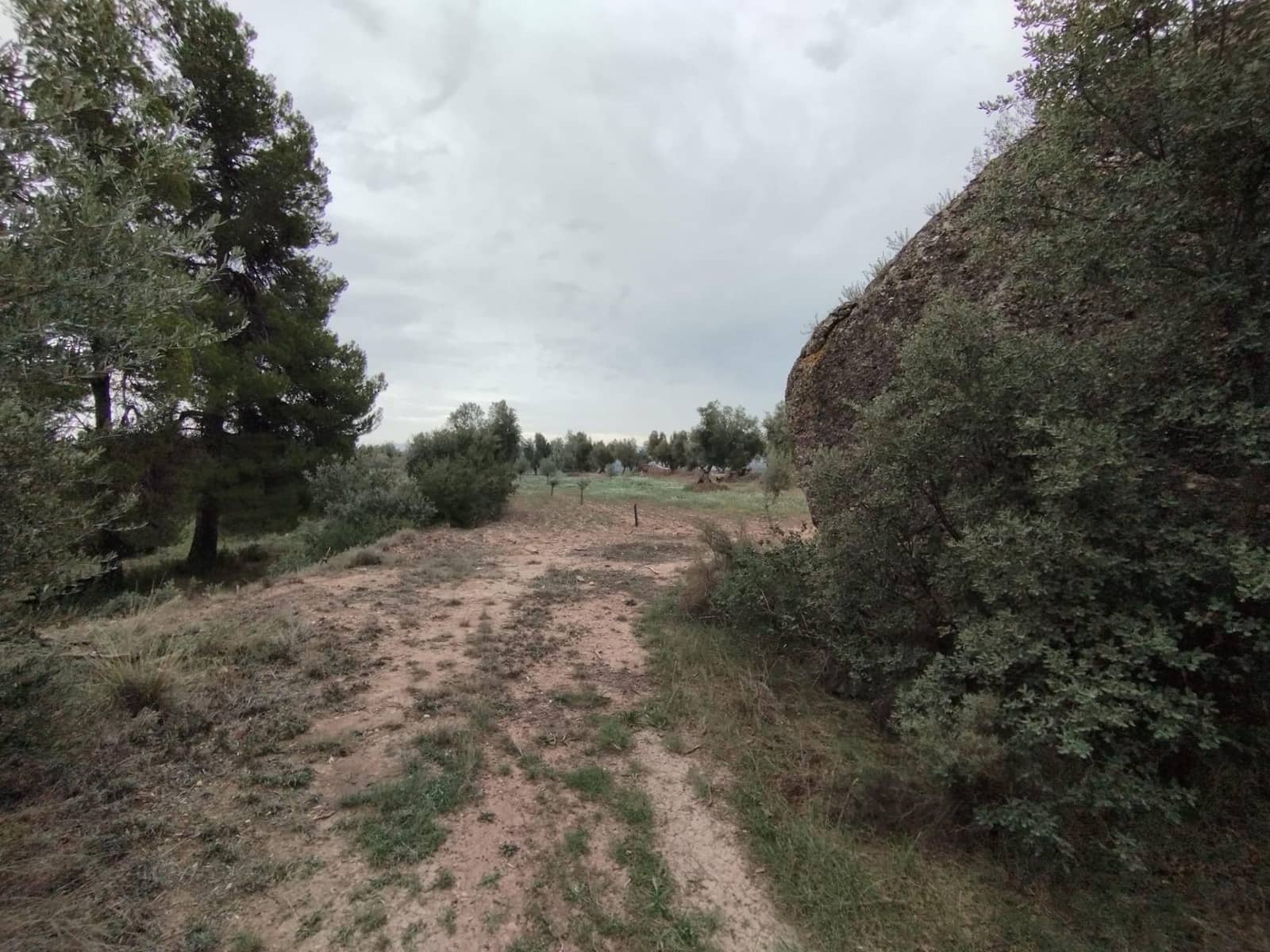 Finca/Herregård til salgs i La Fresneda - € 6 000 (Ref: 9150347)