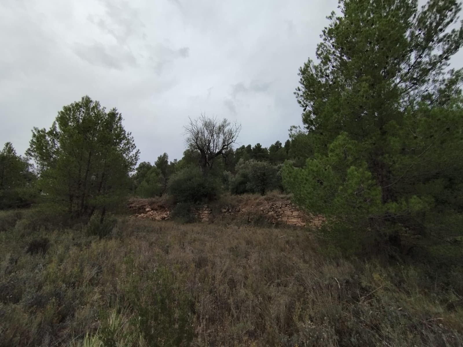 Finca/Herregård til salgs i La Fresneda - € 6 000 (Ref: 9150347)