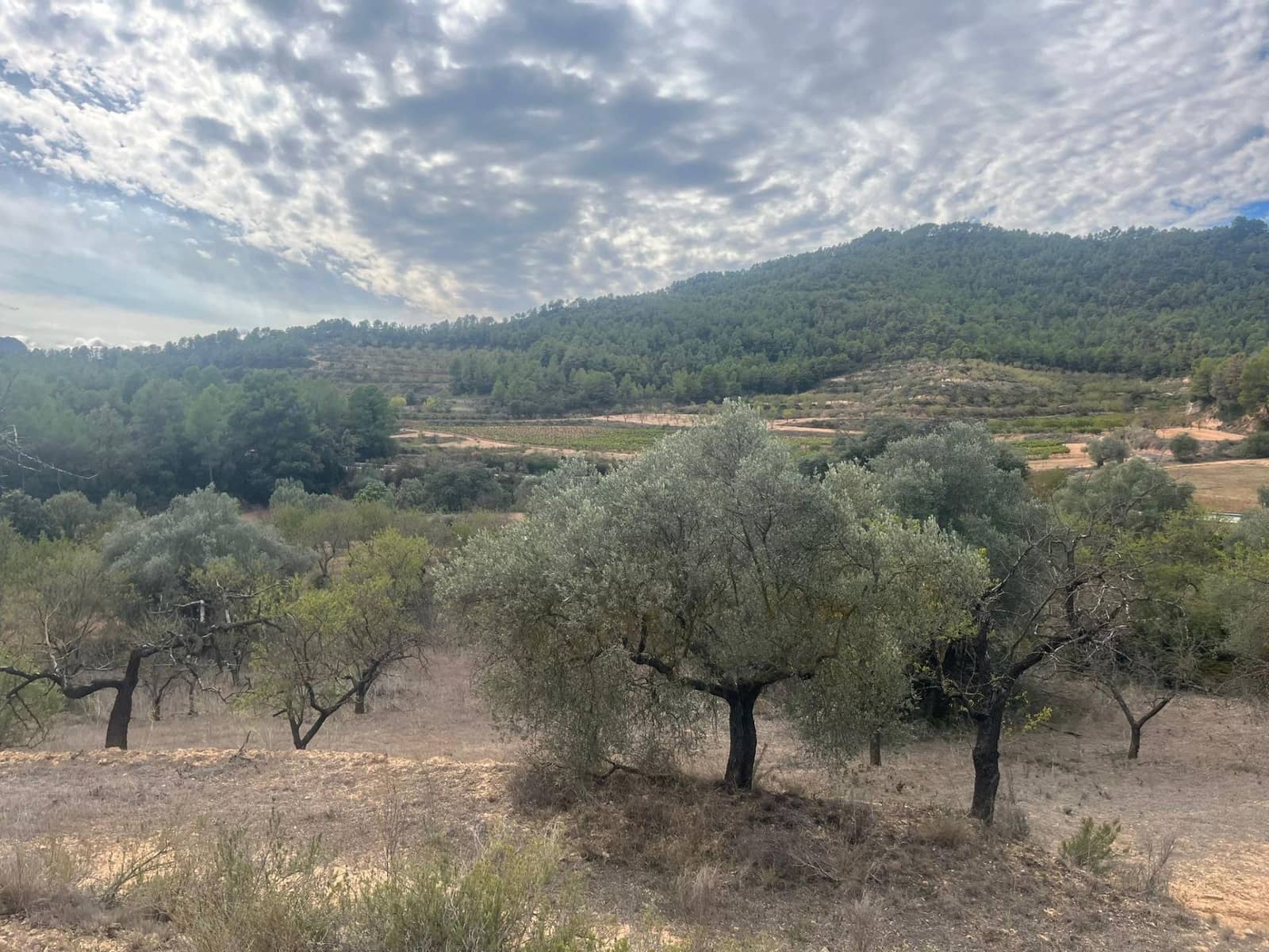Finca/Landehus til salg i Horta de Sant Joan - € 12.000 (Ref: 9150351)