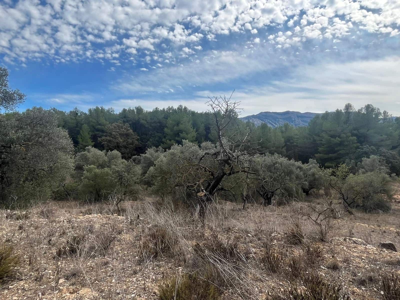 Finca/Landehus til salg i Horta de Sant Joan - € 12.000 (Ref: 9150351)