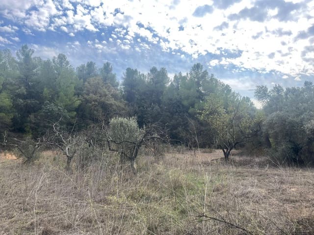 Finca/Landehus til salg i Horta de Sant Joan - € 12.000 (Ref: 9150351)