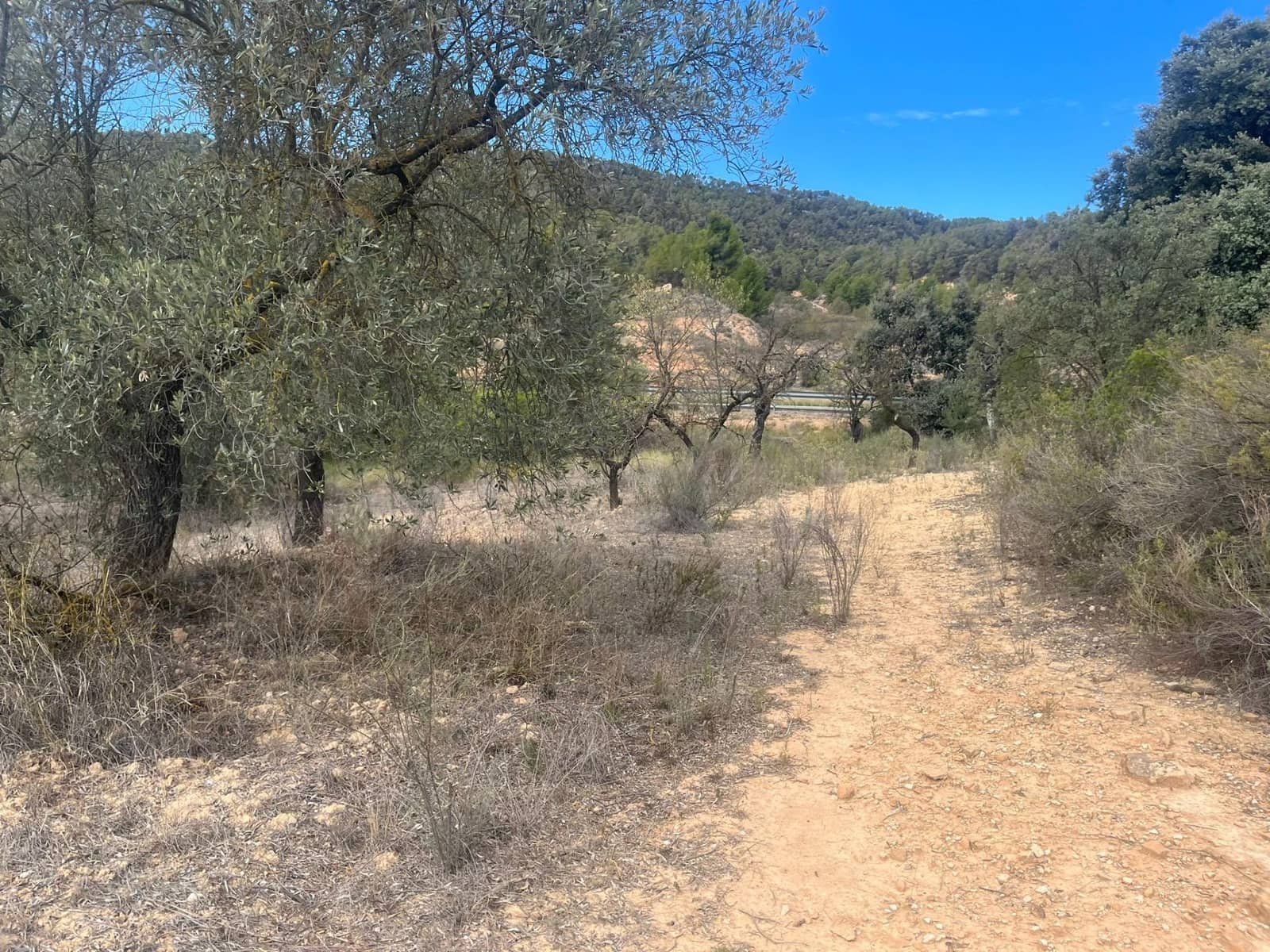 Finca/Landehus til salg i Horta de Sant Joan - € 12.000 (Ref: 9150351)