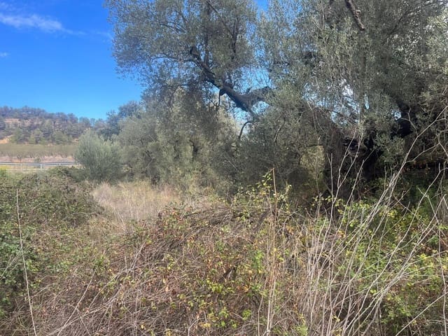 Finca/Landehus til salg i Horta de Sant Joan - € 12.000 (Ref: 9150351)