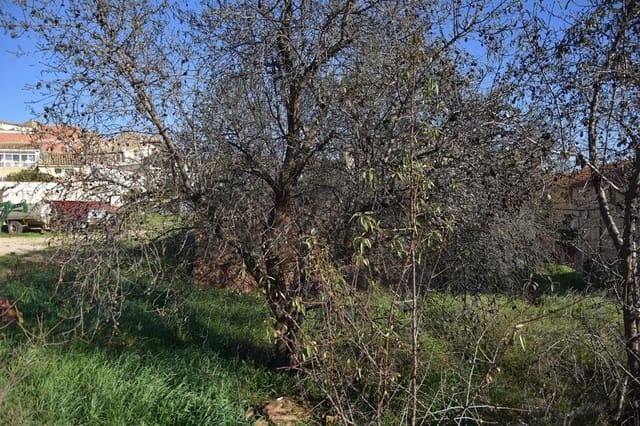 Building Plot for sale in Valdeltormo - € 26,000 (Ref: 9150354)