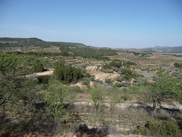 Quinta/Casa Rural para venda em Bot - 21 500 € (Ref: 9150357)