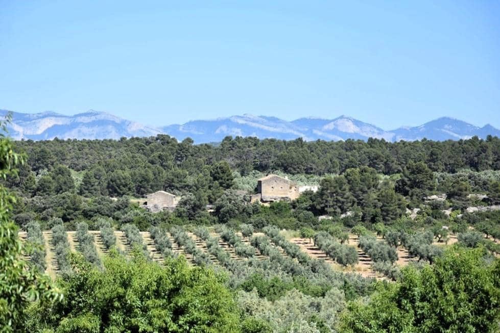 Finca/Landehus til salg i Cretas - € 85.000 (Ref: 9150361)