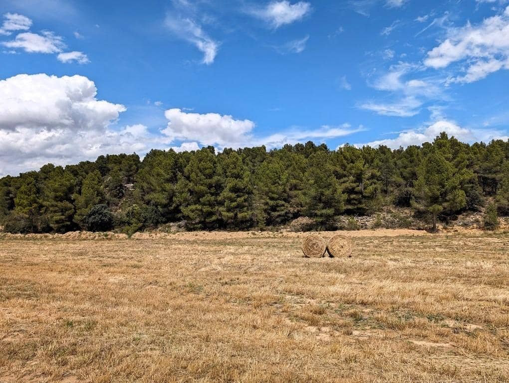 Finca/Landehus til salg i Cretas - € 85.000 (Ref: 9150361)