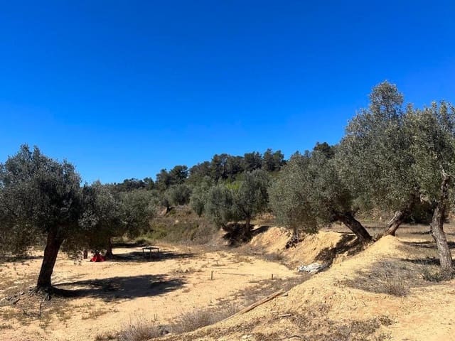 Finca/Hus på landet till salu i Calaceite - 70 000 € (Ref: 9150368)