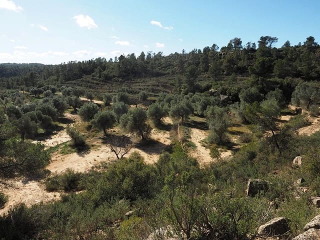 Finca/Hus på landet till salu i Calaceite - 70 000 € (Ref: 9150368)