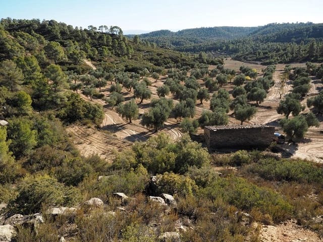 Finca/Hus på landet till salu i Calaceite - 70 000 € (Ref: 9150368)