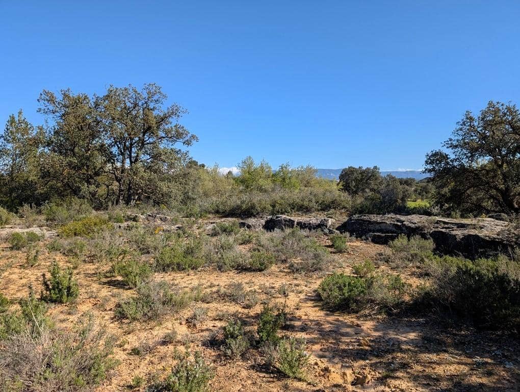 1 soveværelse Finca/Landehus til salg i Cretas - € 30.000 (Ref: 9150373)