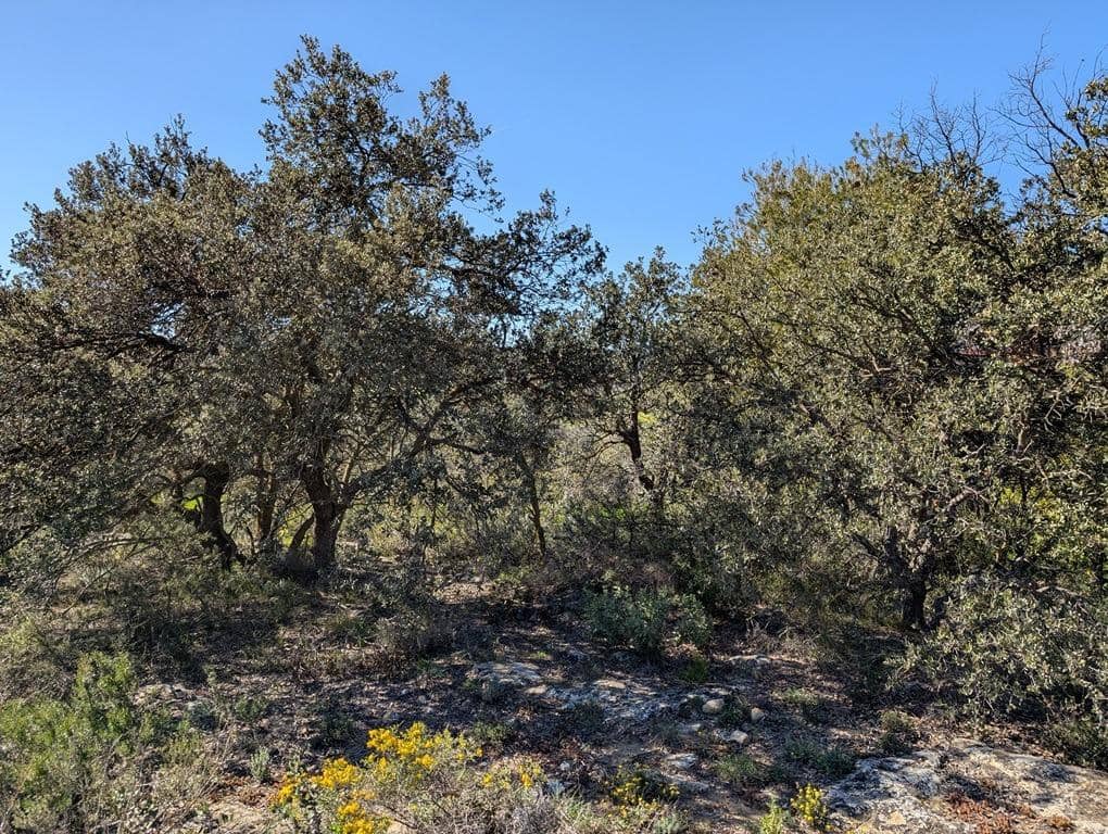 1 soveværelse Finca/Landehus til salg i Cretas - € 30.000 (Ref: 9150373)