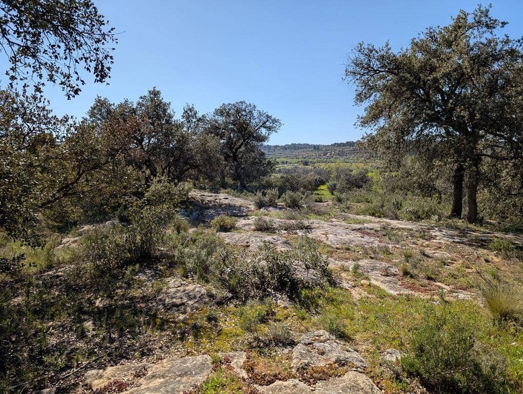 1 soveværelse Finca/Landehus til salg i Cretas - € 30.000 (Ref: 9150373)