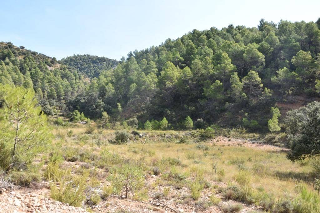 Finca/Landehus til salg i Penarroya de Tastavins - € 256.000 (Ref: 9150378)