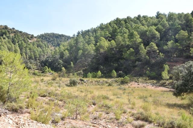 Finka/Dom wiejski na sprzedaż w Peñarroya de Tastavins - 256 000 € (Ref: 9150378)