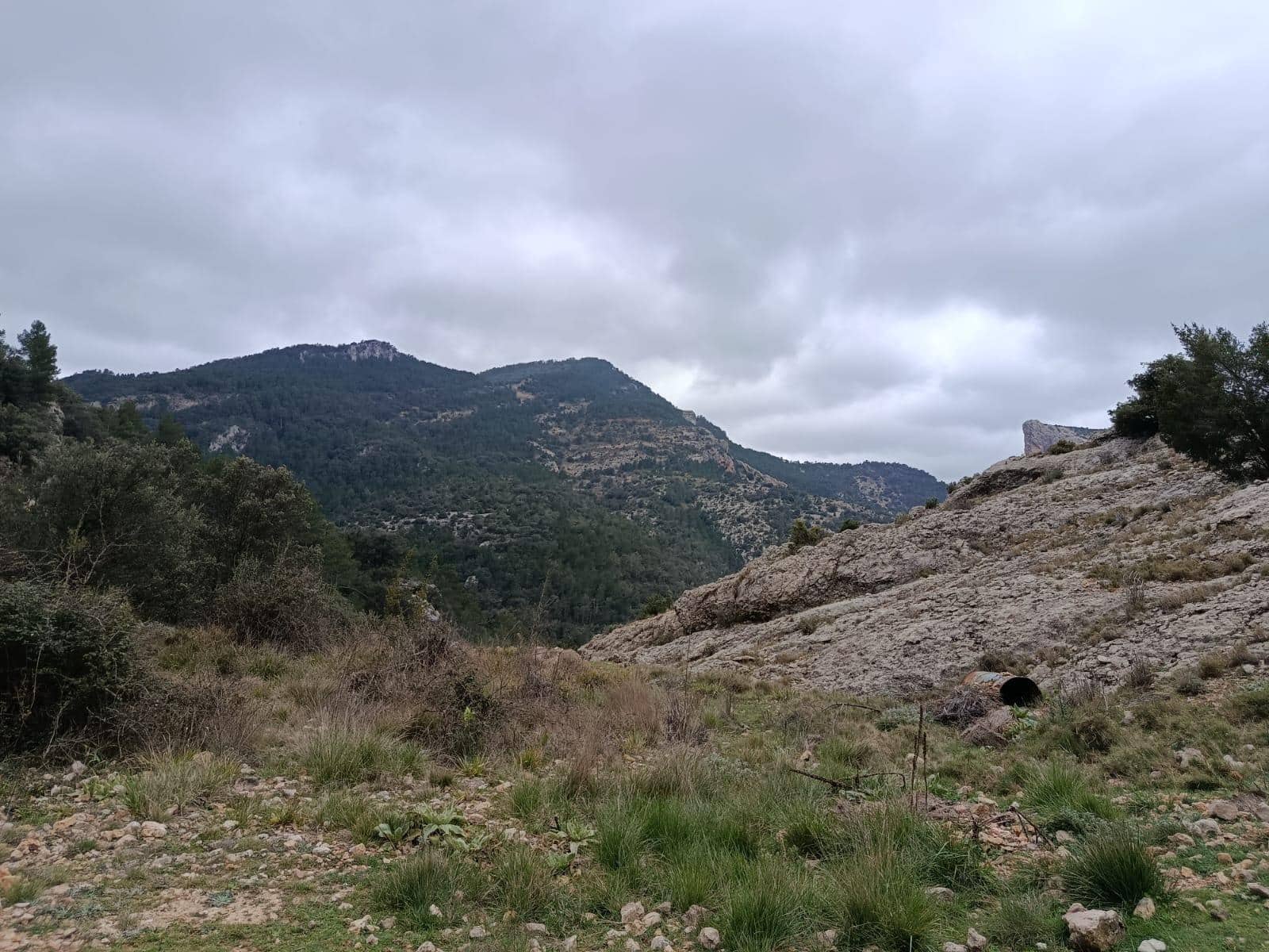 Finca/Landehus til salg i Penarroya de Tastavins - € 256.000 (Ref: 9150378)