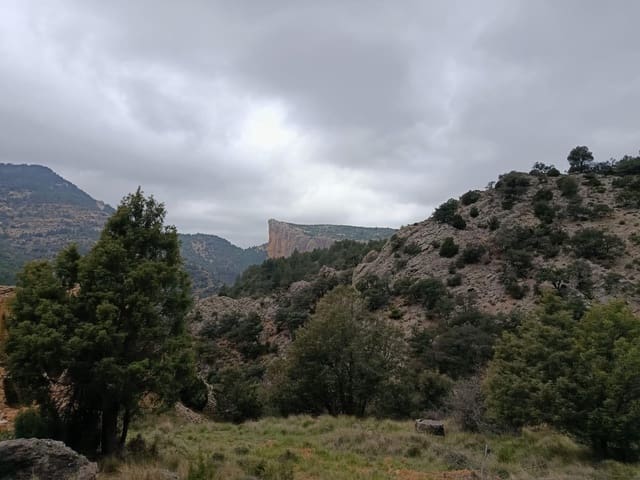 Finka/Dom wiejski na sprzedaż w Peñarroya de Tastavins - 256 000 € (Ref: 9150378)