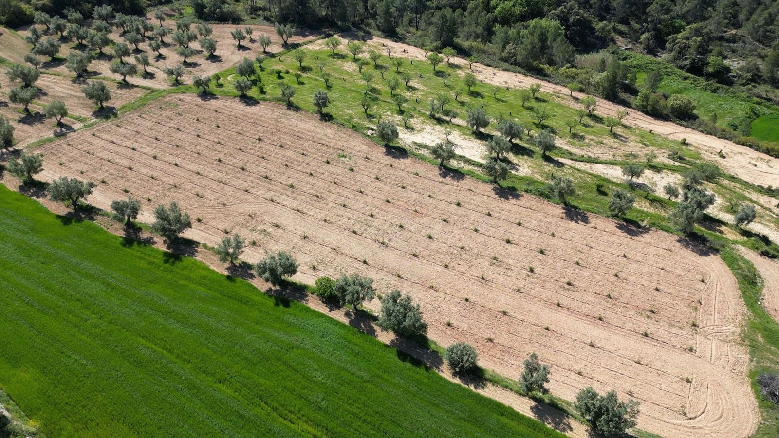 3 soveværelse Finca/Landehus til salg i Calaceite med swimmingpool - € 772.500 (Ref: 9150379)