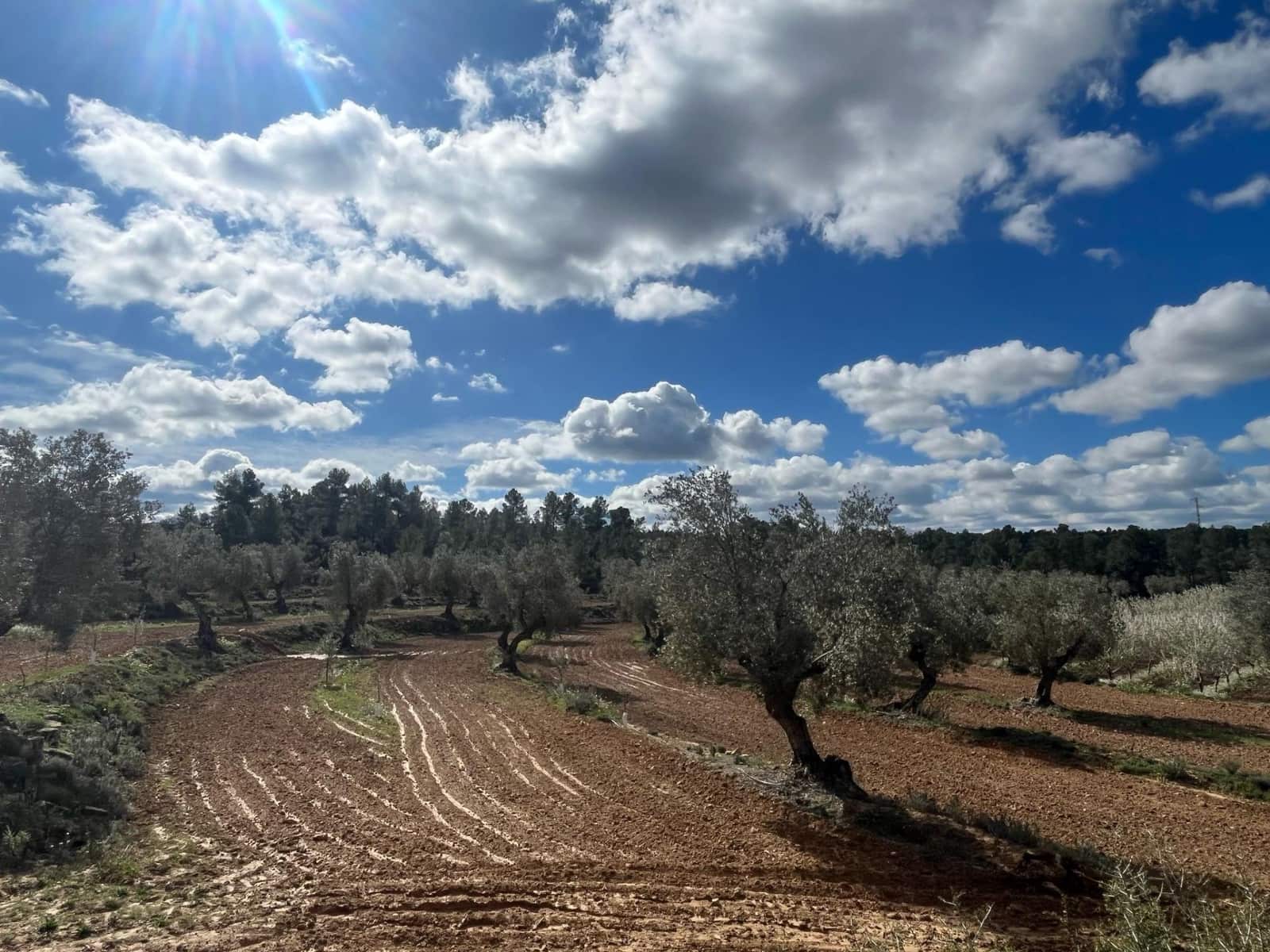 3 soveværelse Finca/Landehus til salg i Calaceite med swimmingpool - € 772.500 (Ref: 9150379)