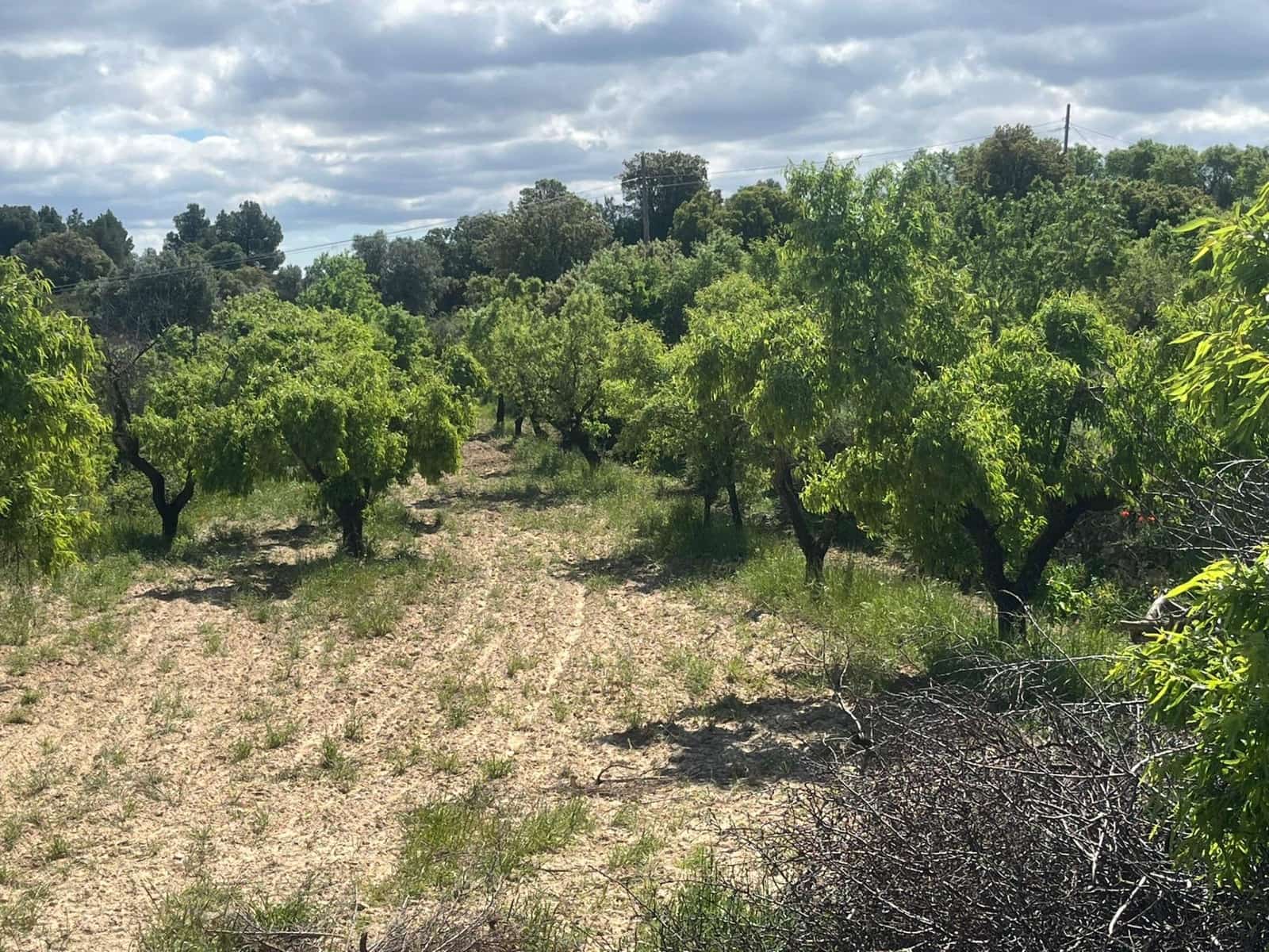 Finca/Country House for sale in La Fresneda - € 6,000 (Ref: 9150381)