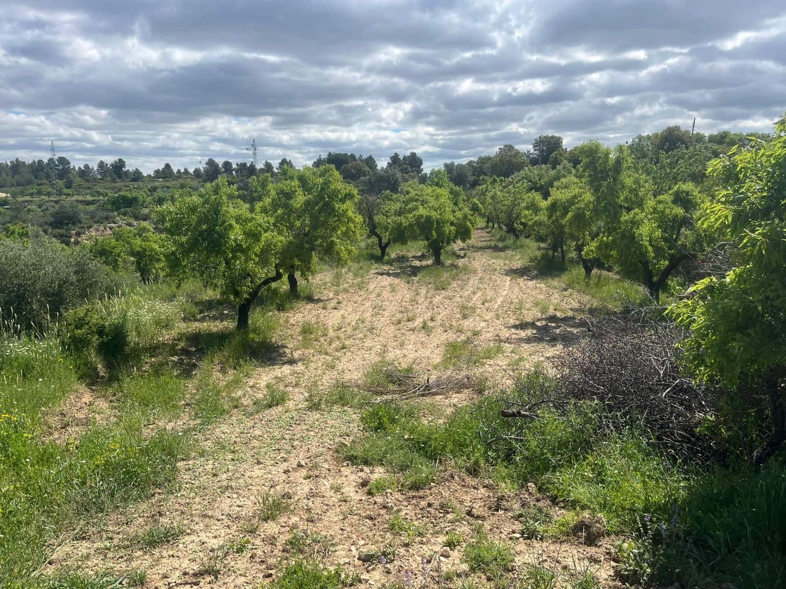 Finca/Country House for sale in La Fresneda - € 6,000 (Ref: 9150381)