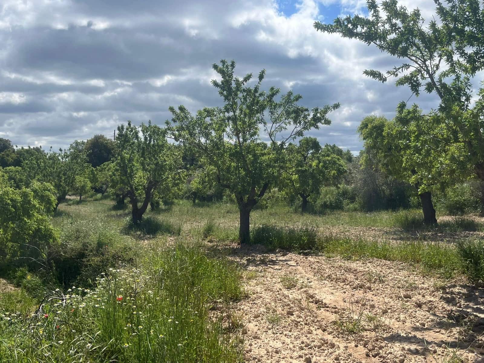 Finca/Country House for sale in La Fresneda - € 6,000 (Ref: 9150381)