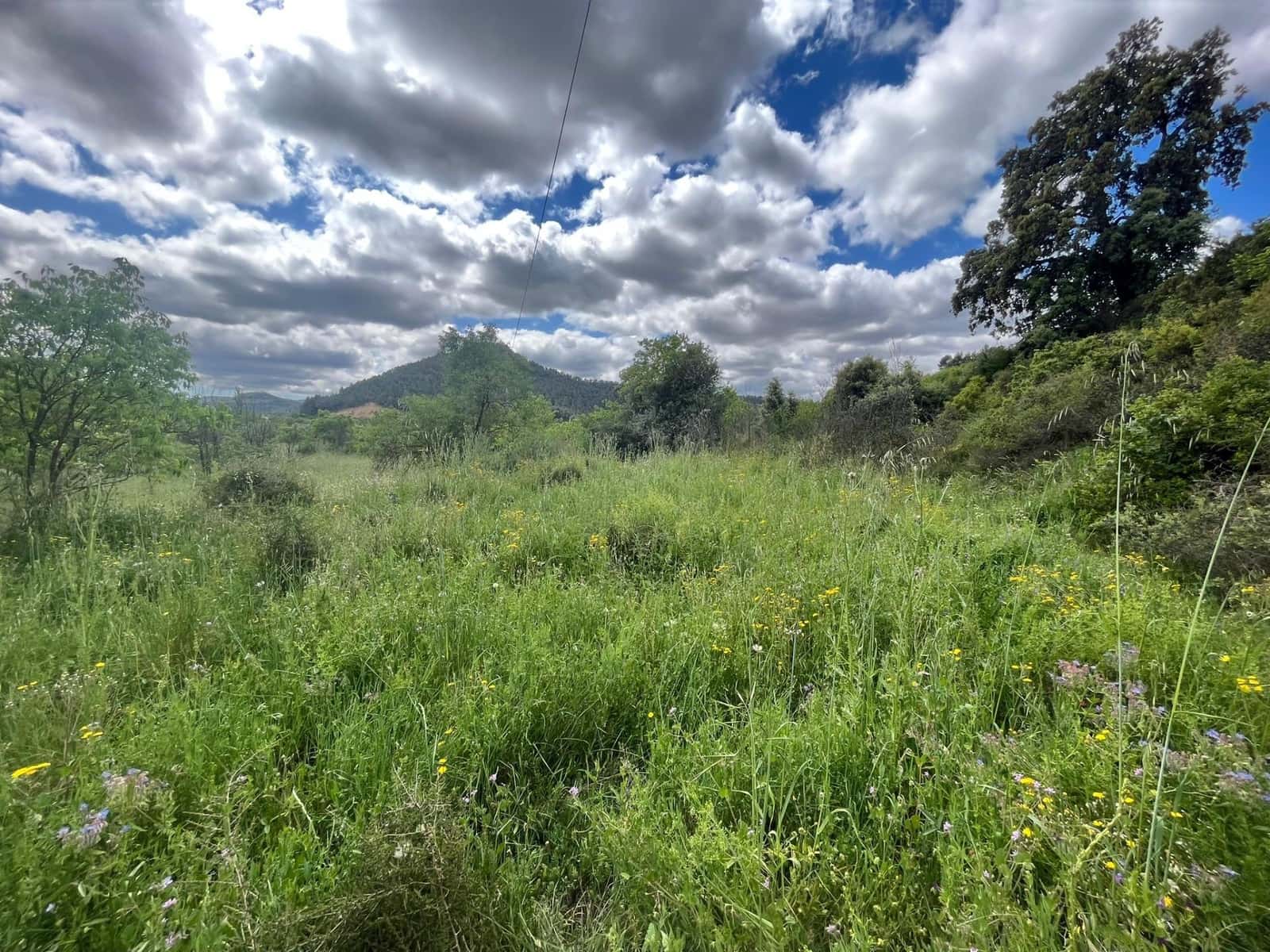 1 sypialnia Finka/Dom wiejski na sprzedaż w La Portellada - 21 000 € (Ref: 9150382)