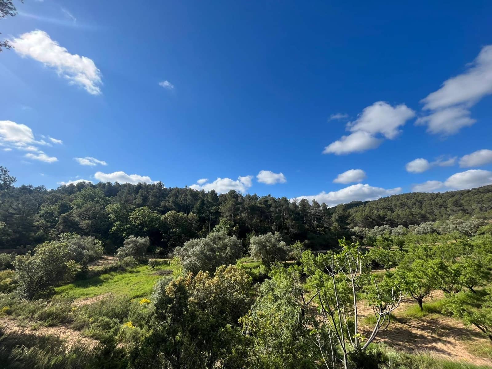 1 camera da letto Finca/Casa di Campagna in vendita in La Fresneda - 20.000 € (Rif: 9150384)