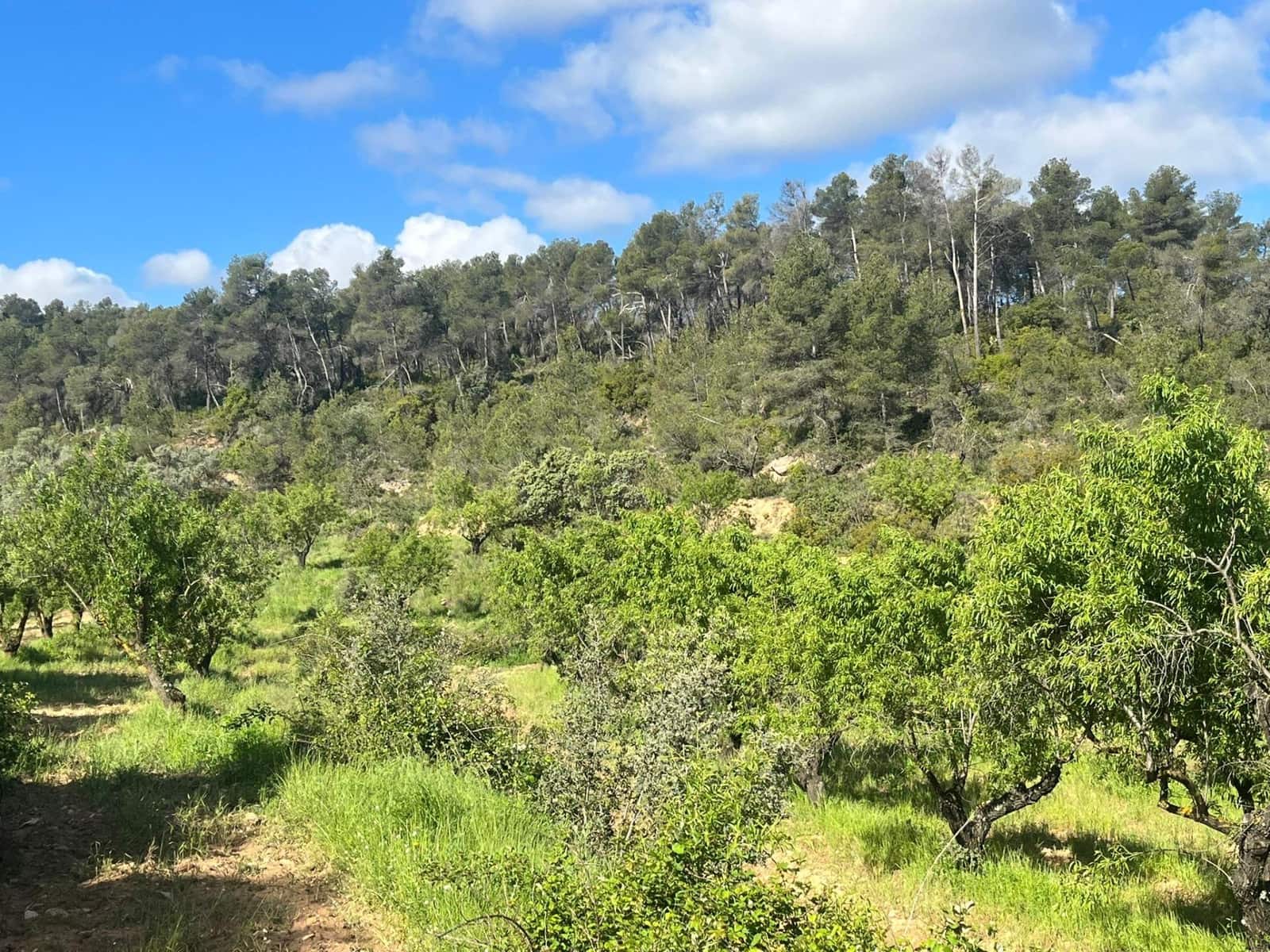 1 camera da letto Finca/Casa di Campagna in vendita in La Fresneda - 20.000 € (Rif: 9150384)