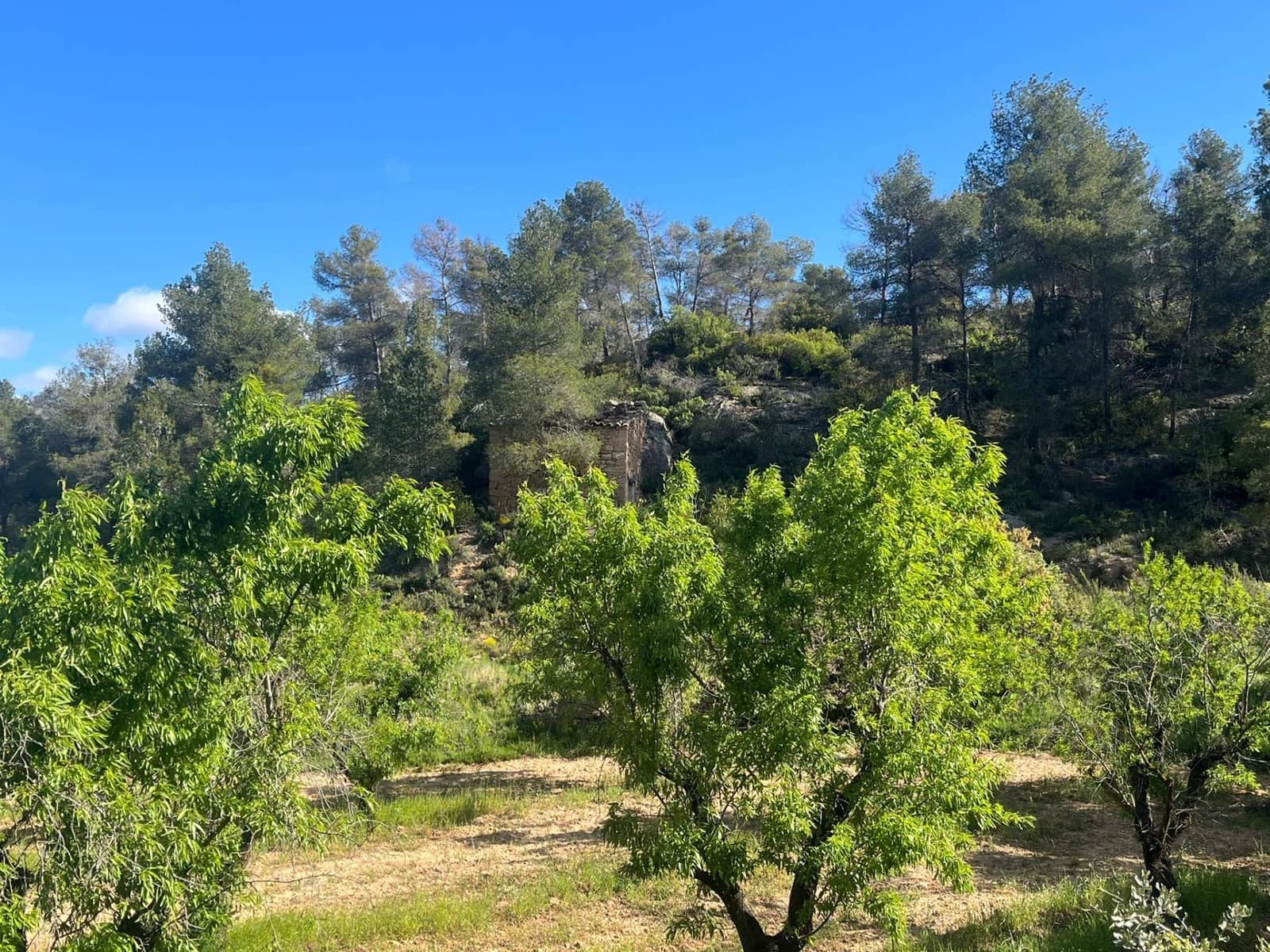 1 camera da letto Finca/Casa di Campagna in vendita in La Fresneda - 20.000 € (Rif: 9150384)