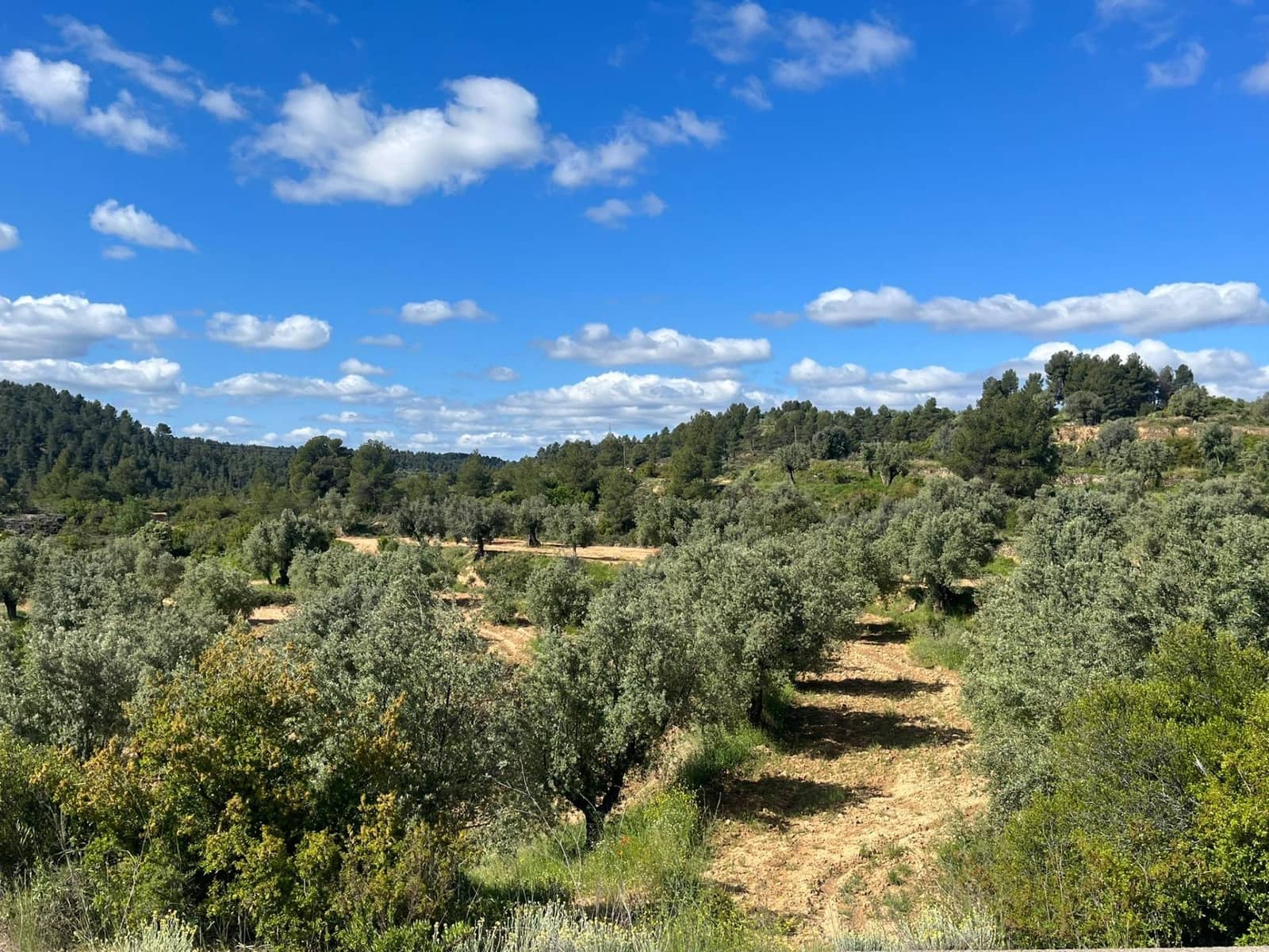 Finca/Landehus til salg i La Fresneda - € 6.000 (Ref: 9150385)