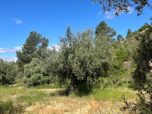 Finca/Casa di Campagna in vendita in La Fresneda - 6.000 € (Rif: 9150385)