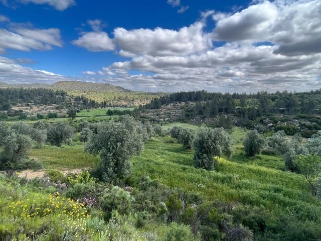 Finca/Casa di Campagna in vendita in La Fresneda - 10.000 € (Rif: 9150386)