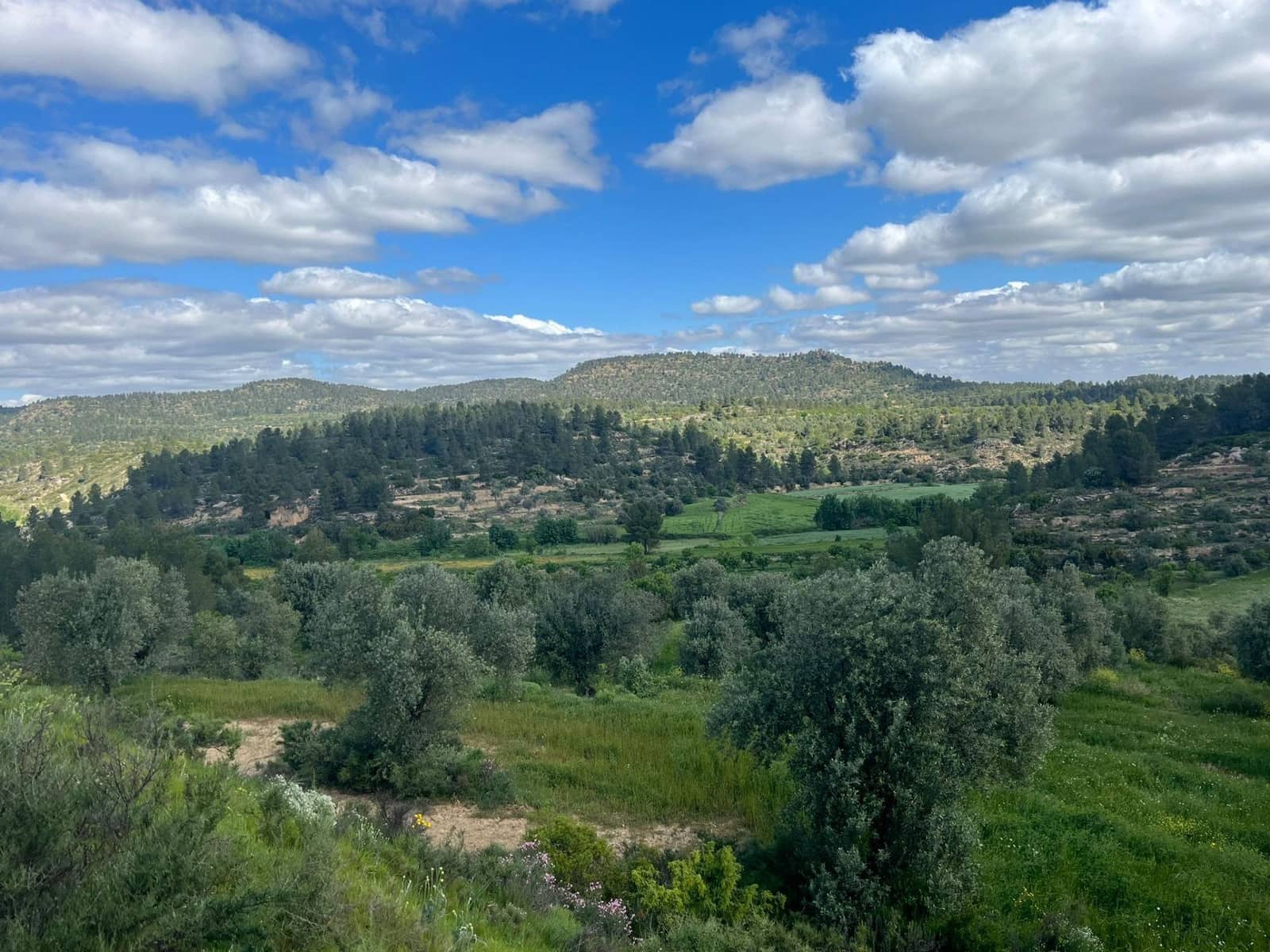 Finca/Landehus til salg i La Fresneda - € 10.000 (Ref: 9150386)