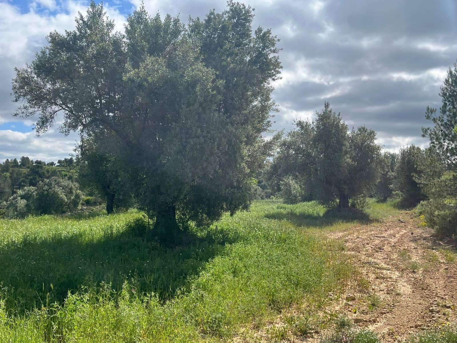 Finca/Landehus til salg i La Fresneda - € 10.000 (Ref: 9150386)