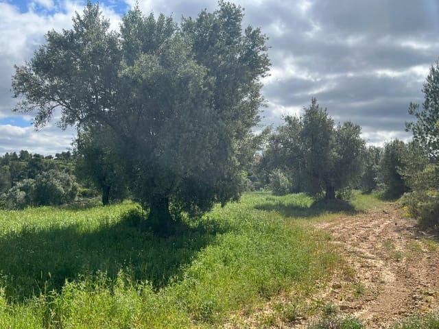 Finca/Casa di Campagna in vendita in La Fresneda - 10.000 € (Rif: 9150386)