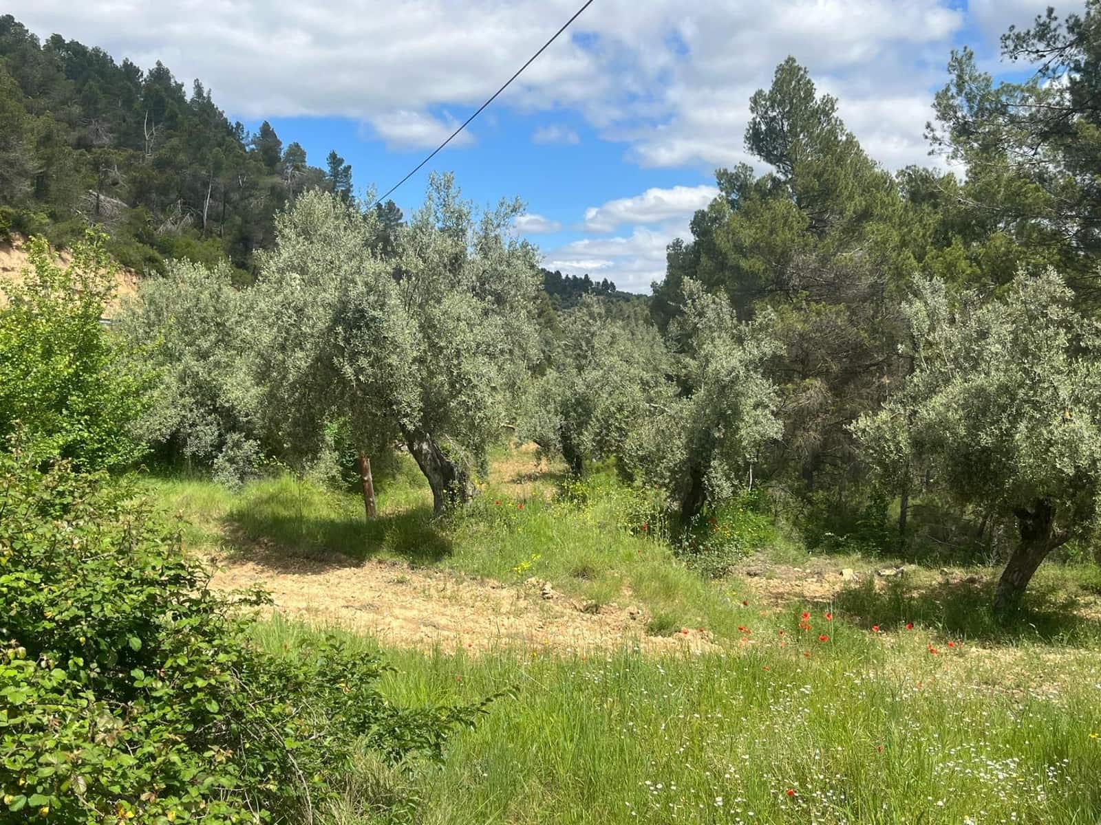 Finca/Landehus til salg i La Fresneda - € 12.000 (Ref: 9150387)