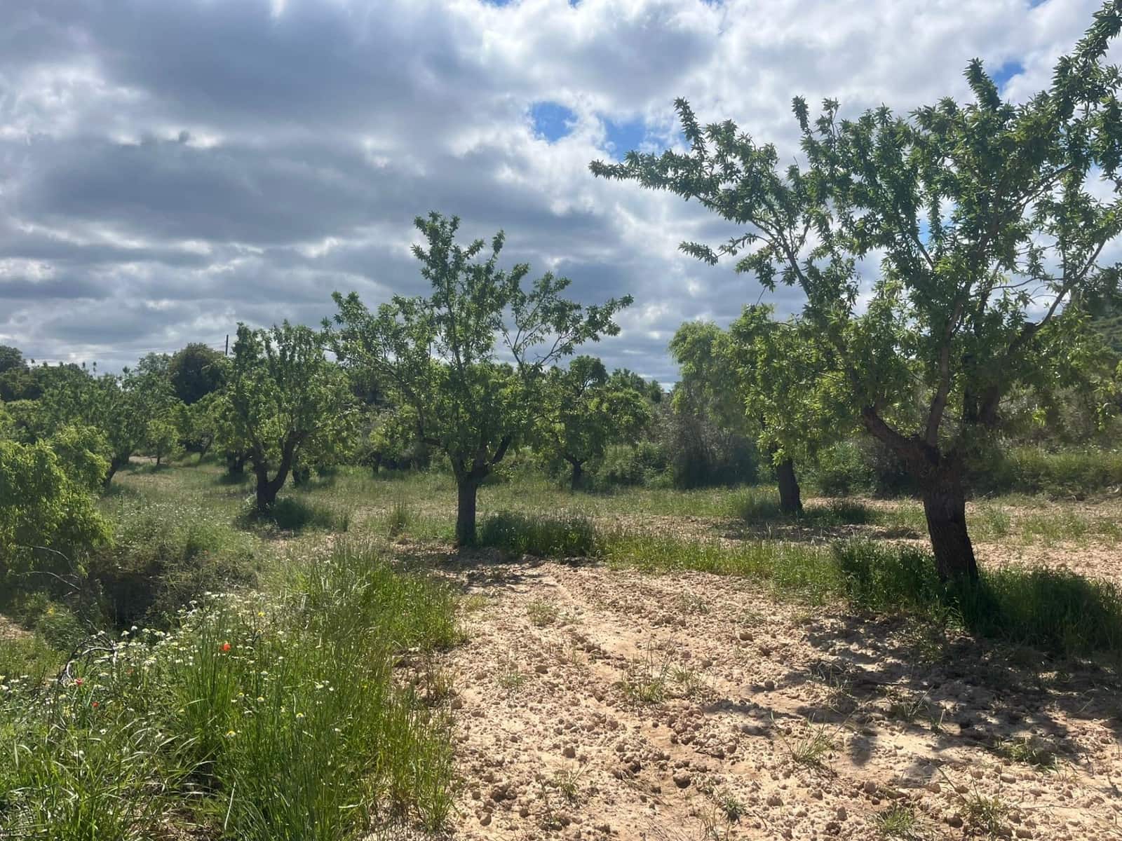 Finca/Landehus til salg i La Fresneda - € 12.000 (Ref: 9150387)