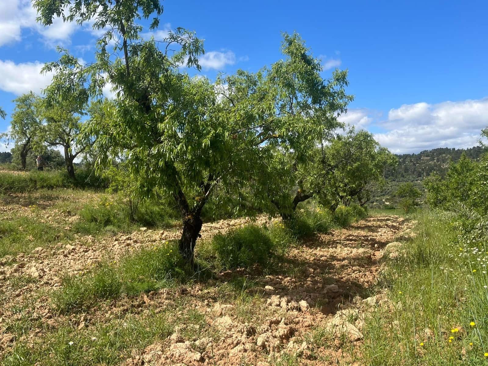 Finca/Landehus til salg i La Fresneda - € 12.000 (Ref: 9150387)