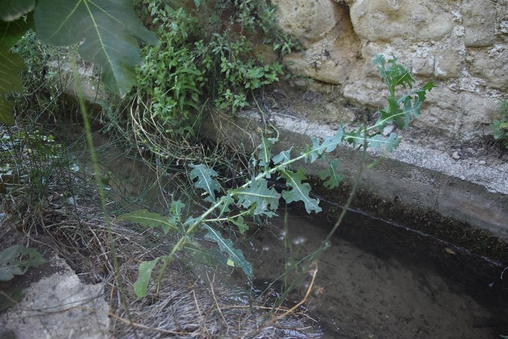 1 sypialnia Finka/Dom wiejski na sprzedaż w La Fresneda - 75 000 € (Ref: 9150388)