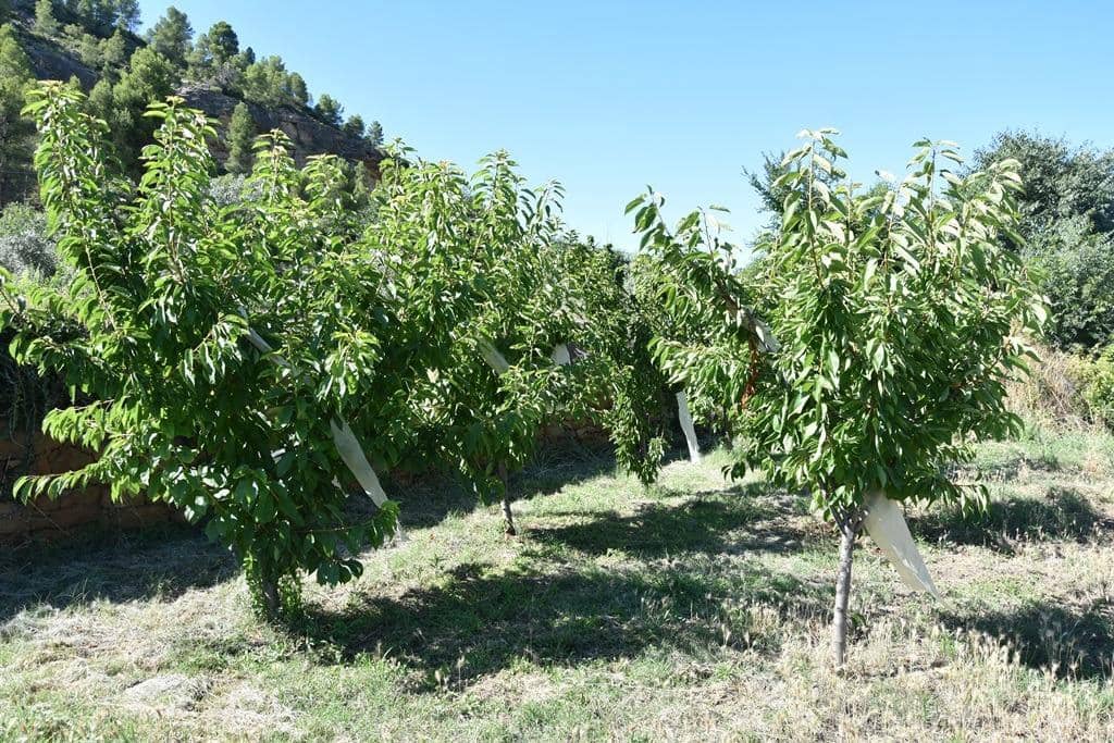 1 sypialnia Finka/Dom wiejski na sprzedaż w La Fresneda - 75 000 € (Ref: 9150388)