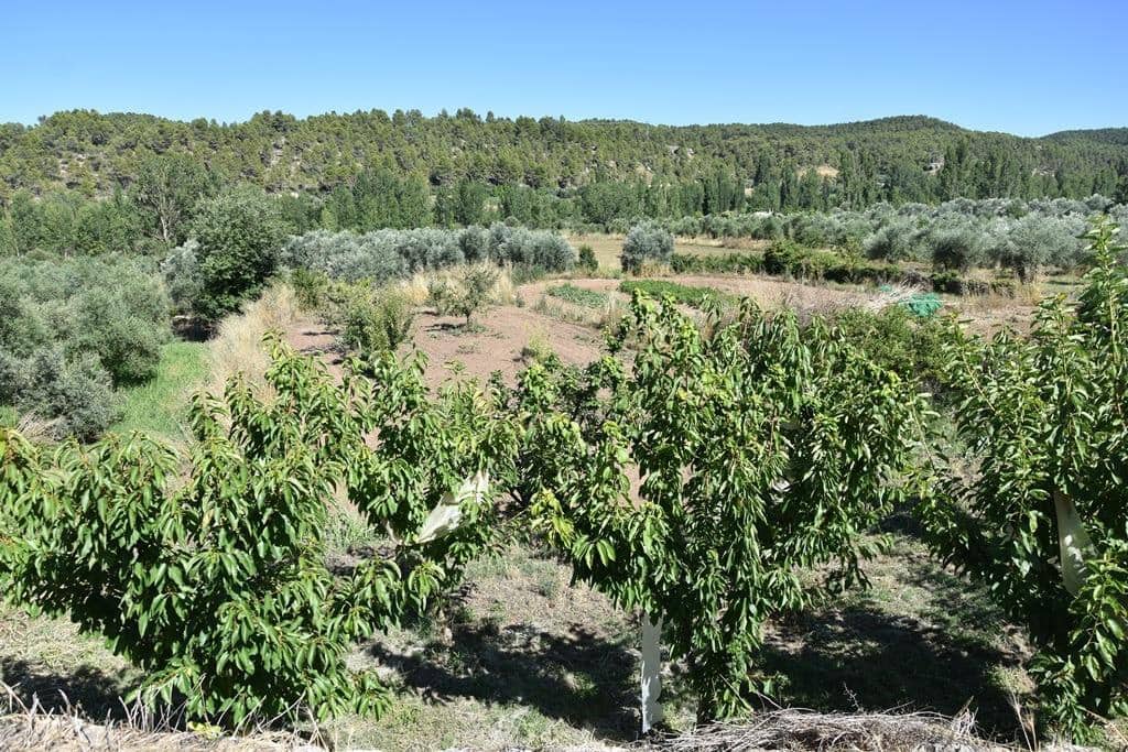 1 sypialnia Finka/Dom wiejski na sprzedaż w La Fresneda - 75 000 € (Ref: 9150388)