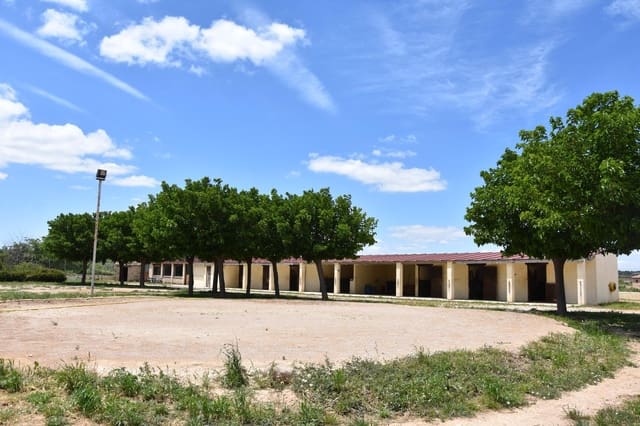 1 quarto Quinta/Casa Rural para venda em Cretas - 450 000 € (Ref: 9150389)